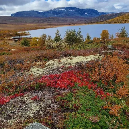 Dom wakacyjny Cozy, Well-equipped And Family-friendly In Geilo