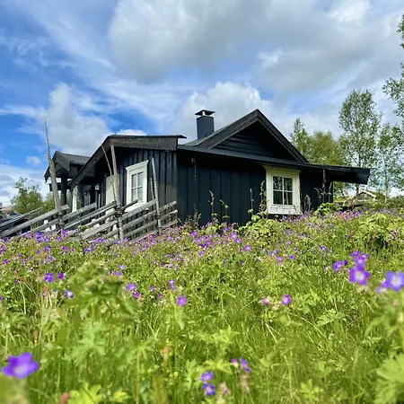 Cozy, Well-equipped And Family-friendly In Geilo